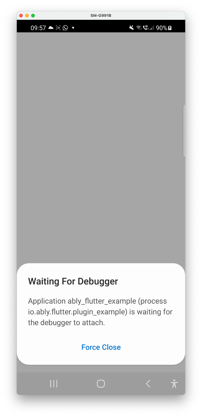 waiting_for_debugger waiting_for_debugger